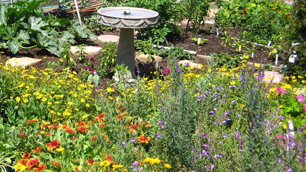 Pollinator Friendly Garden
