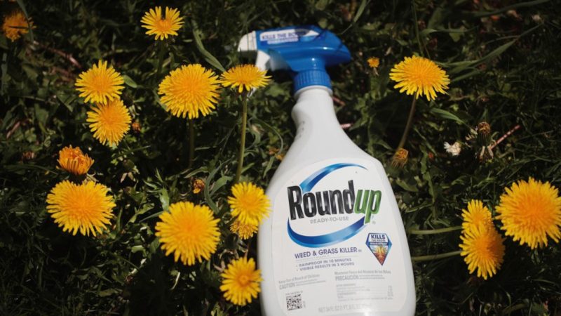 Roundup Herbicide Insecticide Fungicide Pesticide