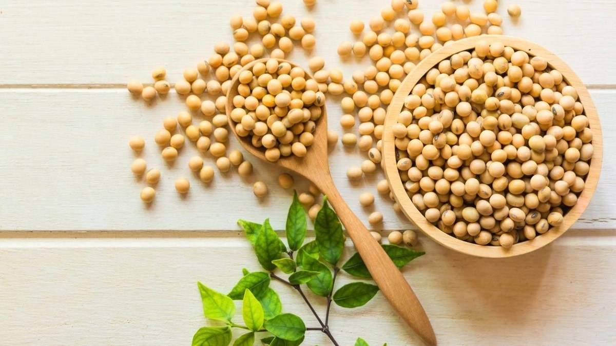 GMO Soybeans Photo credit: iStock