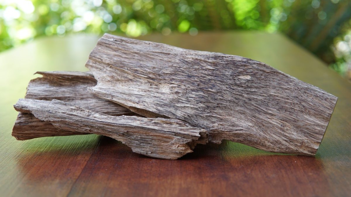 Agarwood Essential Oil