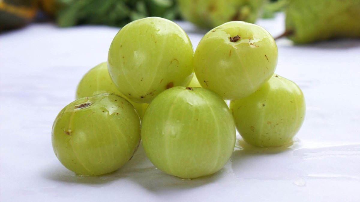 Amla (Gooseberry) Essential Oil