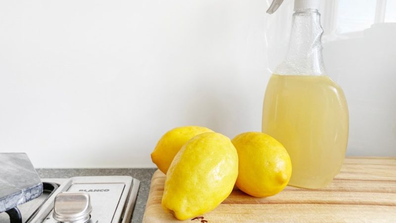 Citrus Vinegar Cleaner Photo credit: Crema Joe on Unsplash