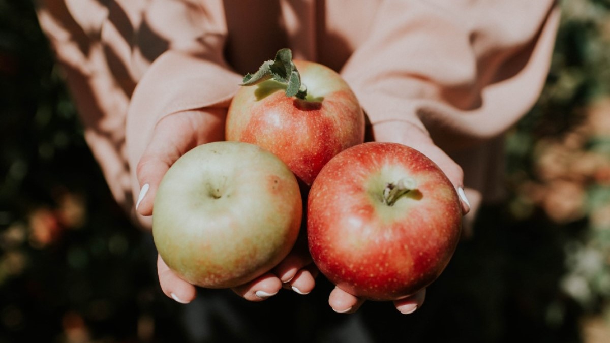 Fresh Apples Photo credit: Natalie Grainger on Unsplash