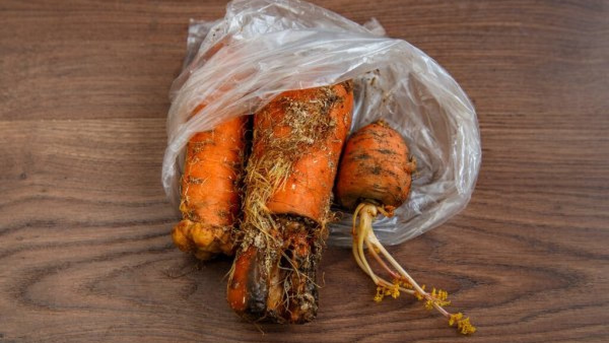 Rotten Carrots In Bag