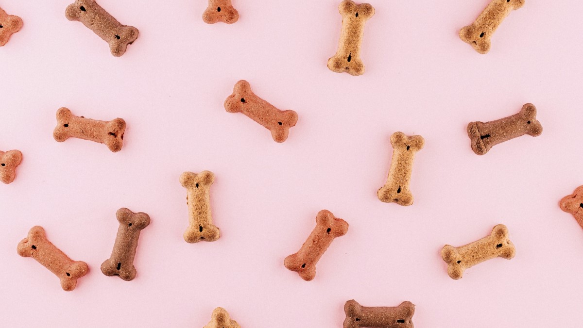 Homemade Peanut Butter & Pumpkin Dog Treats Photo credit: OkeyKat on Unsplash