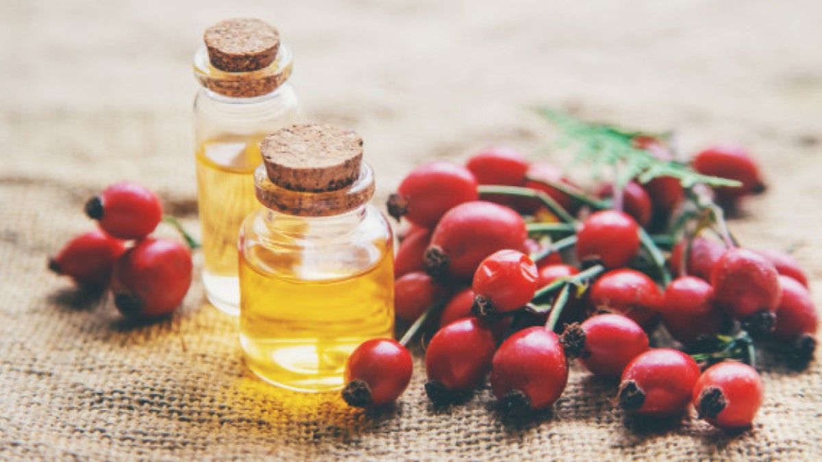 Rose Hips and Rosehip Seed Oil